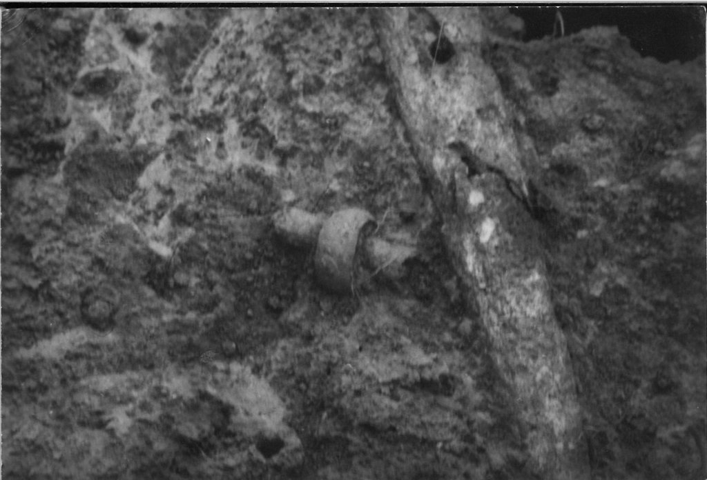 0620-001.jpg 0620-001.jpg